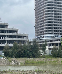 ���ֶ�ʢ����ӡ��