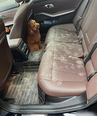 �򿪳��ţ�������ͣ�����ԭ�ر������ߡ�......