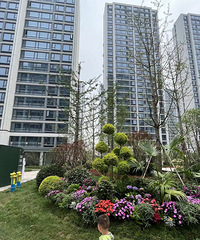 �����ö��컪