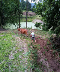 ٺ̹أɽڣμ ݴ~߷ɽ~~ϻ~