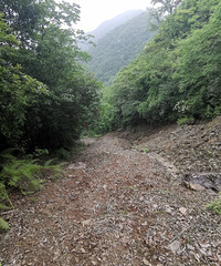 ���ɡ�ͽ��������Ű�����