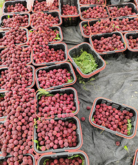 �����ɾ���÷δ�������еĸ�֪��