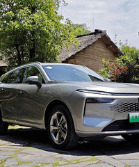 20��Ԫ������SUV�³������Ǹ��ҵ����򱬿�