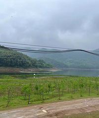 ��2023�μǡ�Ϫ���տ���ˮ�����ﻹ�Ǻ�Ұ��������