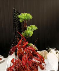 �������ʲô����ξ۲ͣ�����ǿ����ǳ���Ϻ��