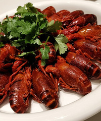 �������ʲô����ξ۲ͣ�����ǿ����ǳ���Ϻ��