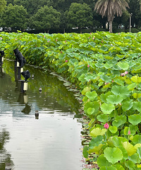 ��2023�μǡ�������㳡�ĺɻ�