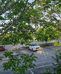 ���������������˹���ͣ������Ա���ĳ�����������ͣ�ò���