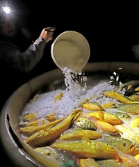 [����]��ҵ�����У���ѡ��µ���