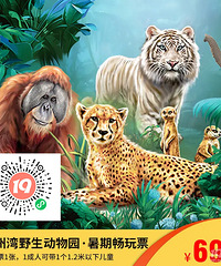 [69Ԫ��]̨����Ұ������԰��ٳ���Ʊ