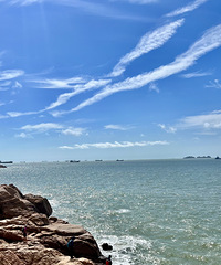 ��2023�μǡ����ݶ�ͷ���ŵ���Խ