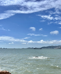 ��2023�μǡ����ݶ�ͷ���ŵ���Խ