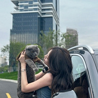 ���ĵ����������è����