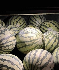 ������ҳ������������Ļ������������˶���Ĭ�ˡ�