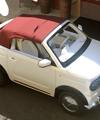 ��������+������ƣ�������èmini������ͼ����