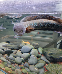 86��·��δ��MM��ϣ����δ�������δ��