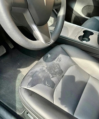 ��˹��������ô���������⣿