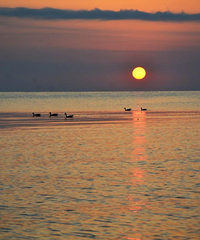 �������15�棡��������ߣ���������ȥһ���൱��10������