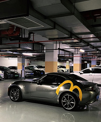 ���������ġ�һ��ϲ�����͵���Ǯ��