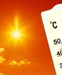 ��Ե綯���ڸ����µ��������⣬40��������Ѱѵ綯�����Ʒ���