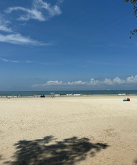 ���������Σ�ˮ����̨�ݱ��˺ܶ�ܶ�