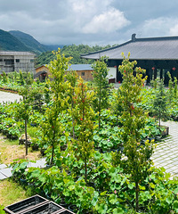 ��̨�����£��е�������һ���½�����Ժ