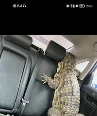 ����˳�糵����ôҰ�������ͳ���Ķ�����Ȼ��һ������