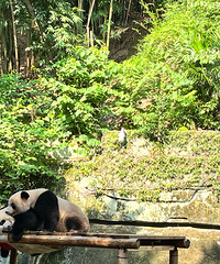 ��2023�μǡ������ط���أ��������ҵ���