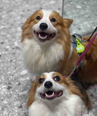 2023���������ѵ���93��·�����ʦGG�Ҷ���