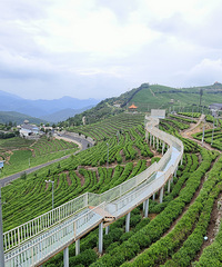 89������в�����Ů����̨�ݺ��ݾ��з�