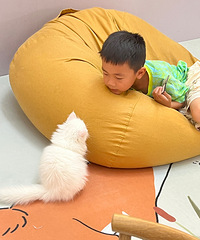 ߣè��ͦ����ģ�98Ԫ���˰�Сʱ������Ҫ����