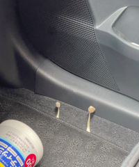 �������공����ˮ�����ﳤĢ������ô�죿