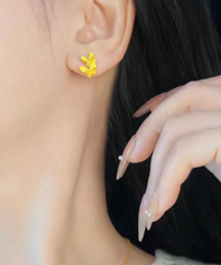 ������������˵�����ľ�����ֻ�����Ľ��κ�����