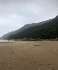 ��ɽԽ�룬���ﻨ�㣬ֻΪ��һƬ������ɳ̲