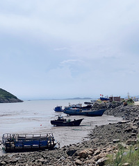 ���޳����Ϻ� û�����ץ�˼�ֻС�з