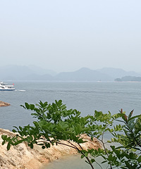 83�꽷��GG������е����ģ������뽷����һ���