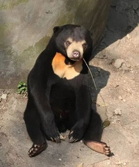 ���ݶ���԰���ܱ������˰�ģ�վ��ֱ��צ���οͻ�����԰����Ӧ