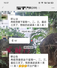 ����ɸ�飬��Ѷ�ûʲô��ȥ����