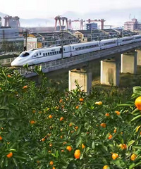 92���ٺ����ⰮЦ���������ٺ����׷���Ѱ��һ�����ܶ����