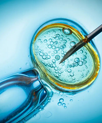 �Թ�Ӥ��1����2����3����4���ĸ��ã����ƹ��̺ͷ���ȫ�⣡