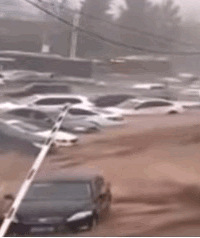 �����Ĵ��꣬�����˵綯��������