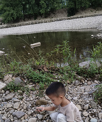 ���������α����۸����������̣�����������