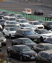 ���й�����ʲô�����Ե������ݣ�