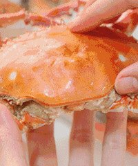 ���ˣ����ڽ���10ʱ�����ڵȵ��ˣ�