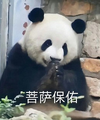 ��ʻֻ֤��6����  ��������ѧϰ���ִ���һ���������