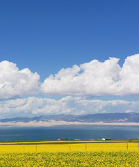 ��2023�μǡ���ʴ��ߣ�8��7������7400Ԫ/��