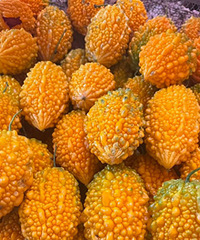 80��90��ļ���ɣ�