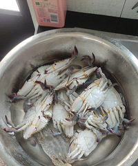 ���켯�б��ˣ���ô��һ����ʮ��