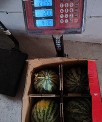 ̨������������������������̨������70����һ�������ͷ��