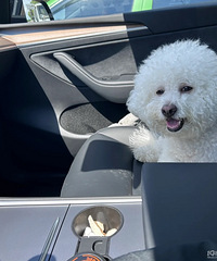 ���������ġ�������Ӿ������������������������Сצӡ